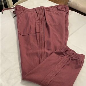Athleta Farallon Jogger in EUC!